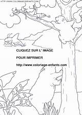 Coloring Polar Bear Little Pages Book sketch template