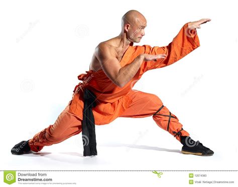 shaolin kung fu shaolin monks