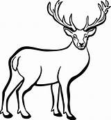 Deer Clipart Buck Elk Printable Stag Drawing Reindeer Clip Transparent Drawings Head Hunting Line Gone Print Getdrawings Clipartmag Webstockreview Clipground sketch template