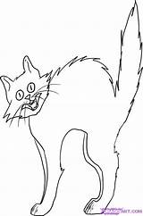 Cat Coloring Pages Halloween Drawing Scary Color Printable Getcolorings Line Scared Library Clipart Print sketch template
