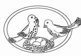 Kleurplaten Duiven Tauben Mewarnai Burung Pigeons Dieren Dara Kleurplaat Merpati Nest Animasi Malvorlagen Animierte Coloriages Taube Bergerak Piccioni Animaatjes Piccione sketch template
