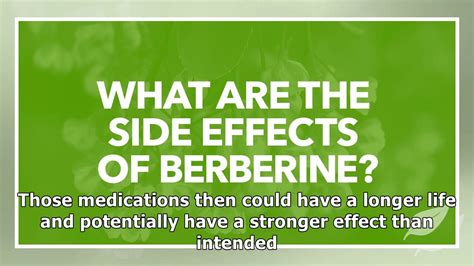 are there side effects of berberine supplements youtube