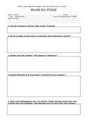 modele de bilan telechargement gratuit documents  word  excel