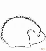 Hedgehog Coloring Cute Simple Pages Printable Supercoloring Drawing Categories sketch template