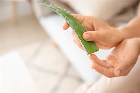 Will Rubbing Aloe Vera On Your Sunburn Help Uams Health