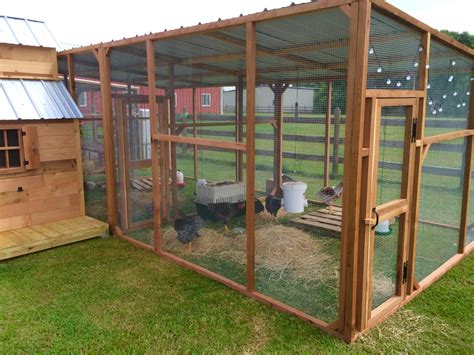chicken coop ideas texas cedar shop diy chicken