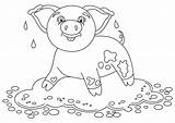 Mud Drawing Puddle Pig Coloring Pages Template Getdrawings Funny Sketch sketch template