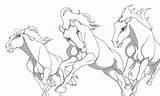 Cimarron Stallion Orb sketch template