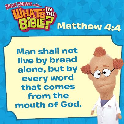 matthew  verse   day  whats   bible