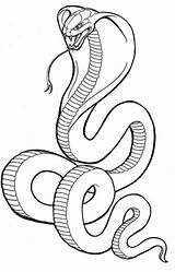 Cobra Snake Coloring Pages King Drawing Printable Drawings Tut Kids Tattoo Head Rattlesnake Striking Snakes Clipart Colouring Angry Easy Sketch sketch template