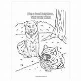 Grumpy Coloring Cat Pages Getcolorings Getdrawings Drawing Colouring Designlooter sketch template