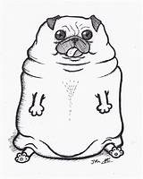 Fat Dog Drawing Pug Drawings Paintingvalley sketch template