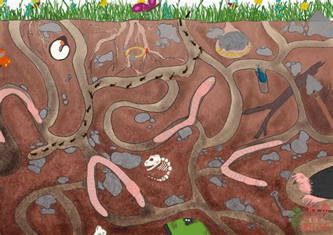 der regenwurm regenwurm kunstprojekte fruehling kinderbuecher