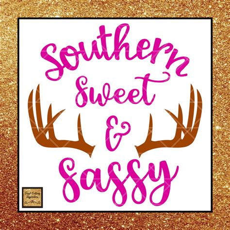 southern sweet and sassy svg southern svg sweet and sassy