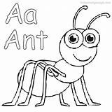 Ant Colorir Formiga Ants Wikiclipart Desenhos Freepngclipart sketch template