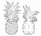 Pineapple Ananas Nanas Buah Abacaxi Mewarnai Pineapples Cortado Meio Kartun Hitam Supercoloring Tudodesenhos Frutta Marimewarnai Querschnitt Pinapple Entier Impressionante Extraordinaire sketch template