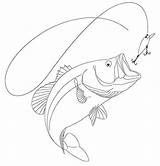 Drawing Bass Fish Largemouth Behance Drawings Easy Mouth Smallmouth Large Painting Water Pencil Draw Fishing Outline Coloring Cartoon Step Burning sketch template