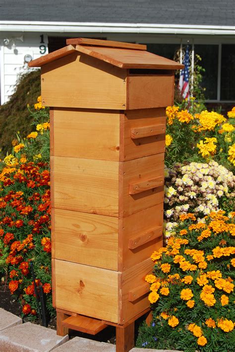 build  beehive   easy steps   build  shed