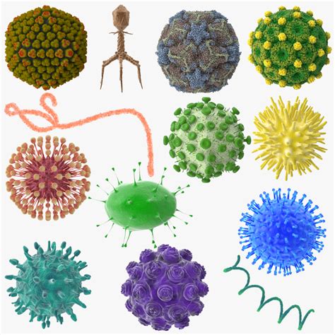 viruses virus  model