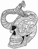 Coloring Skull Adults Sugar Snake Pages Skulls Snakes Adult Book Mandalas sketch template