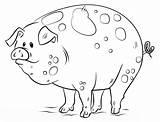 Pig Colorir Porcos Imprimir Porquinho Cartoni Animati Piggy Dessin Cochon Disegnare sketch template
