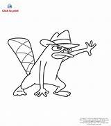 Perry Coloring Platypus Pages Phineas Ferb Agent Disney Cute Noggin Oobi Template Book Visit Step Popular Baby sketch template