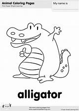 Alligator Preschool Supersimpleonline Supersimple Printables sketch template
