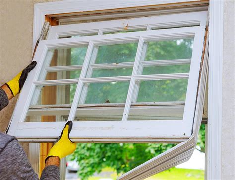 What Homeowners Should Know About Their Single Pane Windows