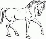 Horse Coloring Pages Kids Printable Supplies Fun Forget Don sketch template