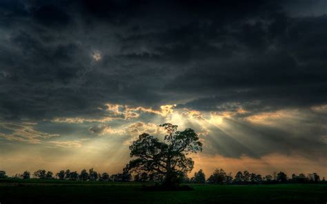 schattige afbeelding voor achtergrond mooie lucht wolken natuur widescreen  top