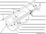 Violin Label Viola Parts Music Bow Enchantedlearning Printout sketch template