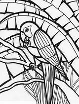 Parrot Jungle sketch template
