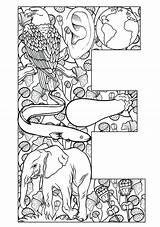 Illuminated Coloring Pages Manuscript Getcolorings sketch template