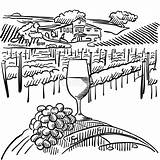 Vineyard Collines Vigne Rebe Hills Weinberg Foreground Vignoble Vine Fass Vines Trauben Nagent Parc Croquis Ligne Hebstreits Abbildung Vordergrund Hügeln sketch template