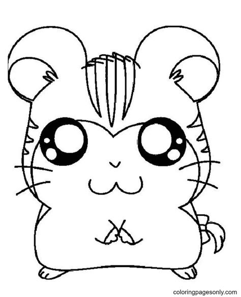 hamster coloring pages  printable coloring pages