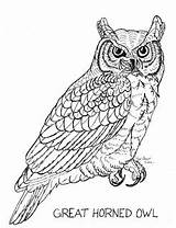 Owl Horned Coloring Great Pages sketch template