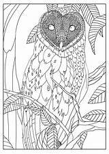 Coloring Owl Barn Adult Pages Owls Mizu Adults Animal Animals Realistic Printable Exclusive Drawing Mandala Getdrawings Print Barns Book Sheets sketch template