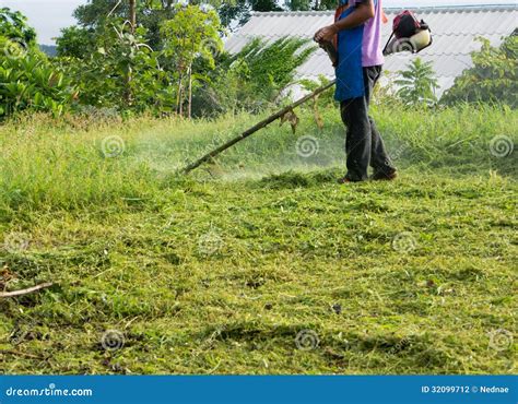 mowing  grass stock photo image  slope equipment