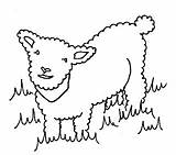 Sheep Colour Baa Rhyme sketch template
