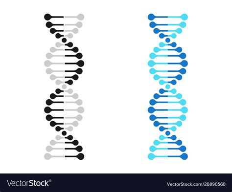 Dna Icon Chromosome Genetics Gene Molecule Vector Image