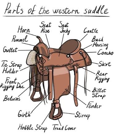 individual parts   saddle