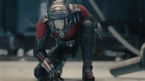 ant man  wallpapers  trailer xcitefunnet