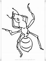 Coloring Ants Pages Printable Book sketch template