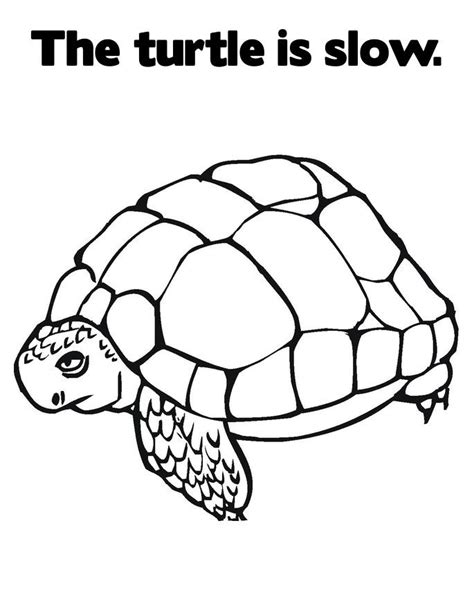 printable turtle coloring pages  kids