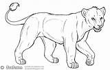 Lioness Lion Drawing Female Lineart Adult Getdrawings sketch template