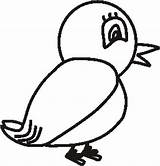Uccellini Casette Birdhouse Disegno Stampa sketch template