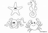 Sea Coloring Animals Pages Creatures Ocean Underwater Life Animal Under Kids Printable Color Scene Sheets Floor Simple Deep Coloringpage Eu sketch template