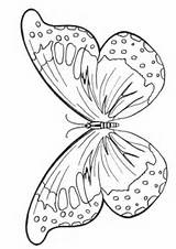 Butterfly Mariposas Butterflies Colorear Colouring Mariposa Kolorowanki Ricamo Moldes Motyle Chomikuj Timbri Trasferimento Arazzi Tsgos Getdrawings Morpho Caballos Kidspot Forkids sketch template