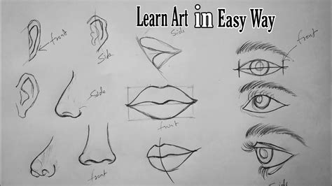 draw eyes nose  lips easy tutorial step  step pencil