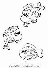 Fische Ausmalbild Fisch Ausmalen Vorlagen Malvorlage Zeichentrickfiguren Wassermann Pinnwand Zitate Hunderte Zeigen Windowcolor Sparad Ausmalbildervorlagen Dein sketch template